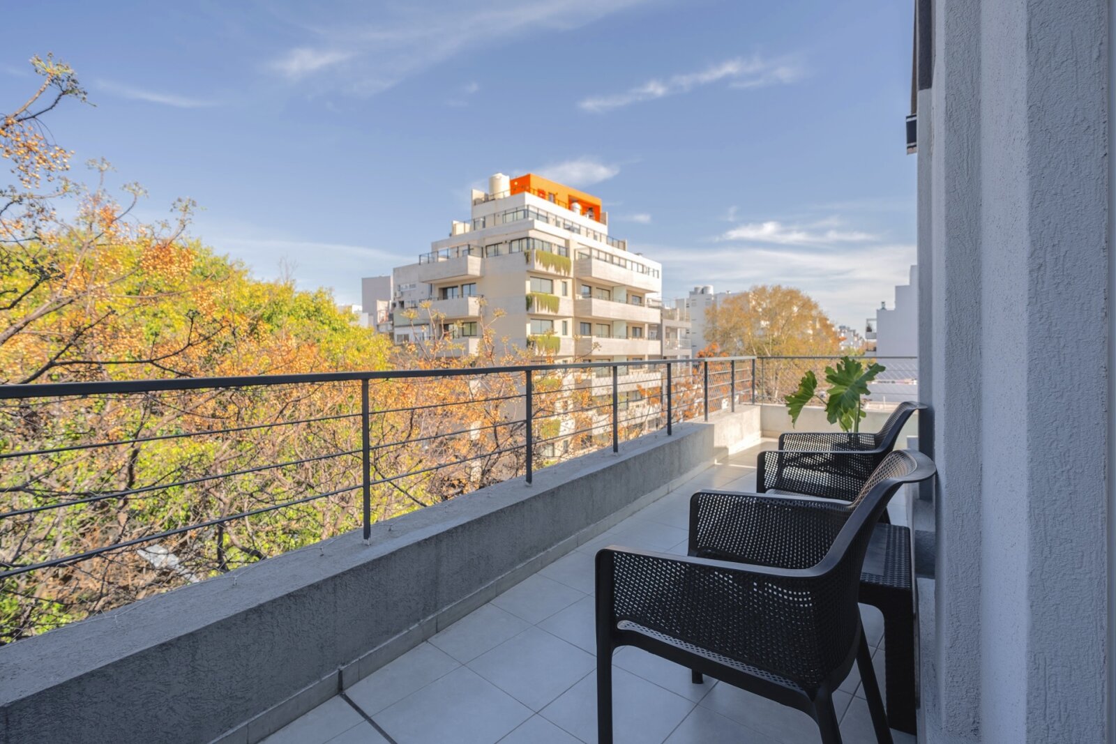 Terraza 1