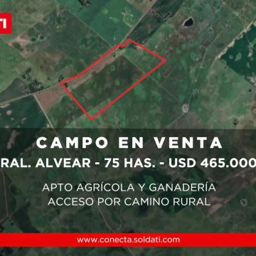 Campo mixto de 75 hectáreas en Gral.Alvear -  Venta