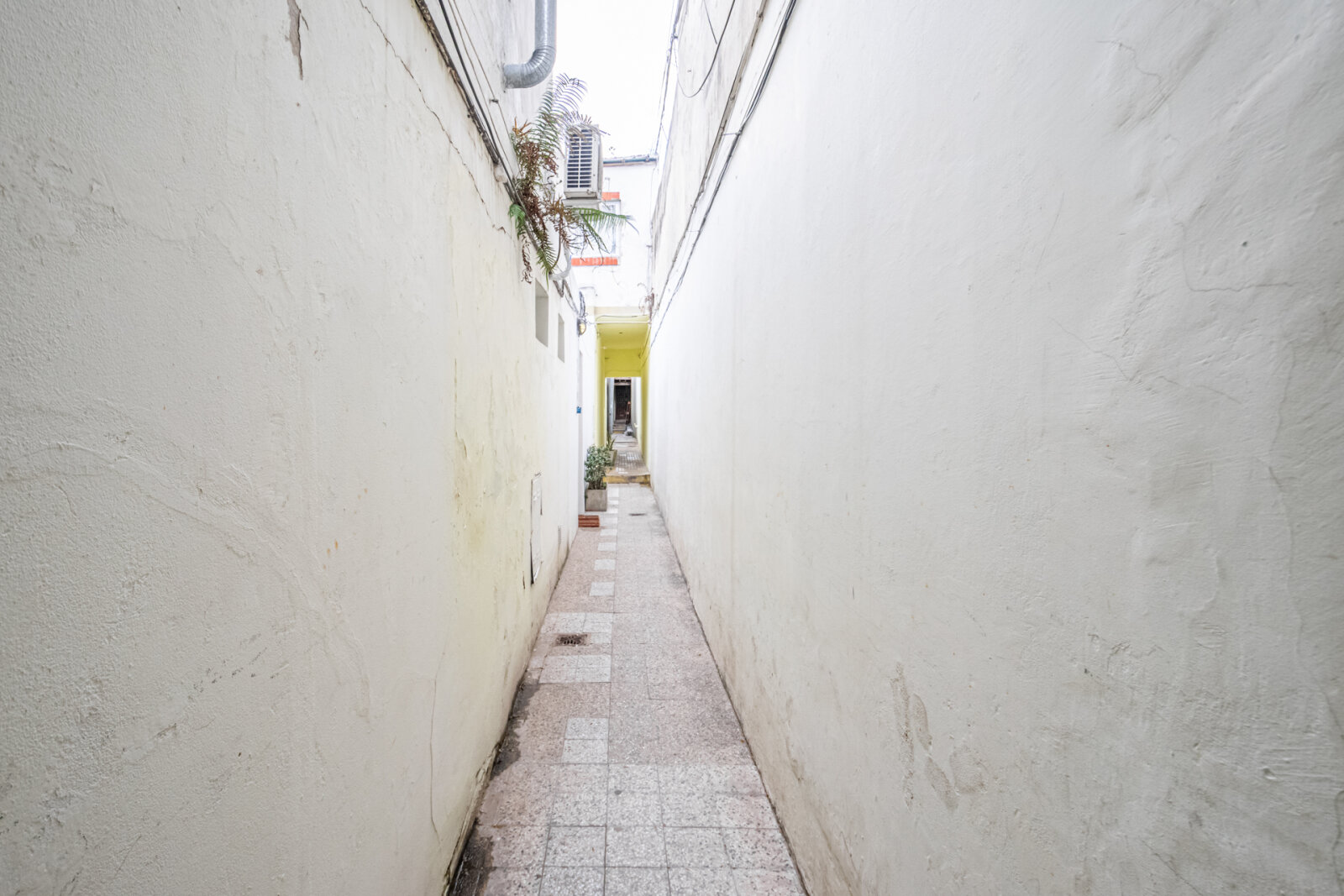 image 29