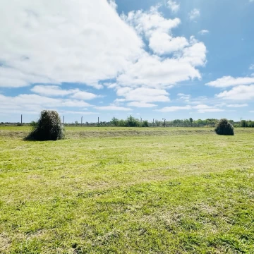 1790616249.jpg