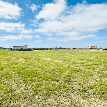 1790616251.jpg