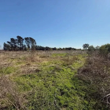 VENTA 10 HECTAREAS RUCCI Y FIGUEROA ALCORTA