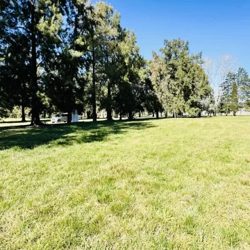 1790619849.jpg