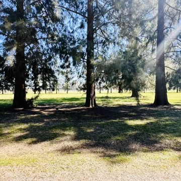 1790619850.jpg