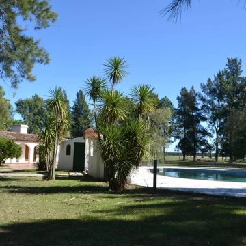 1790619852.jpg