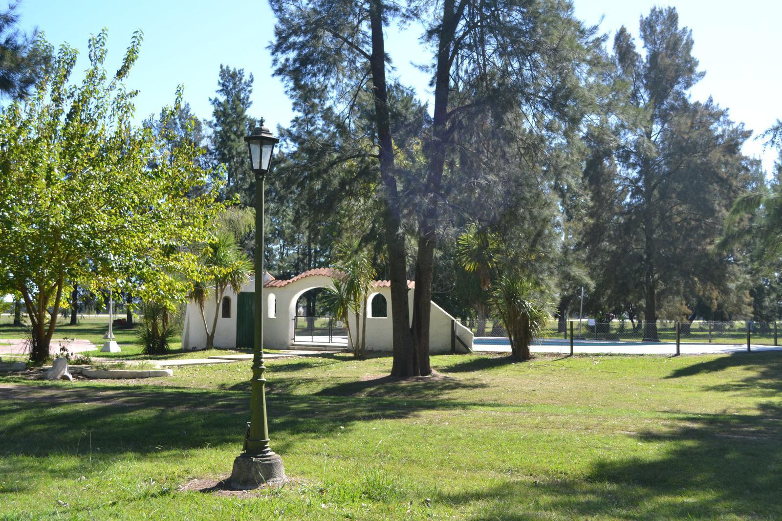 image 14