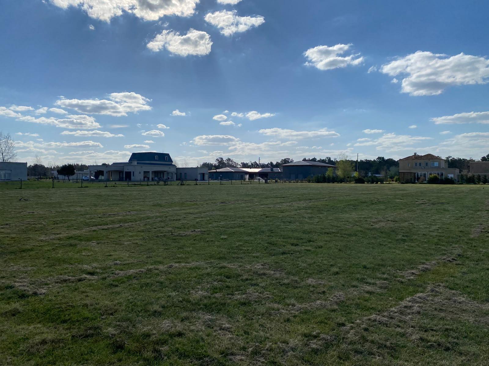 image 31