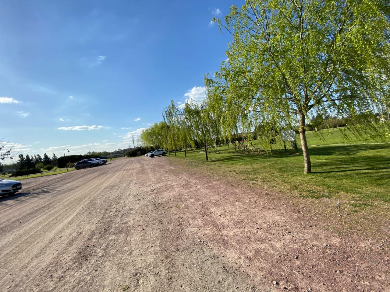 image 50