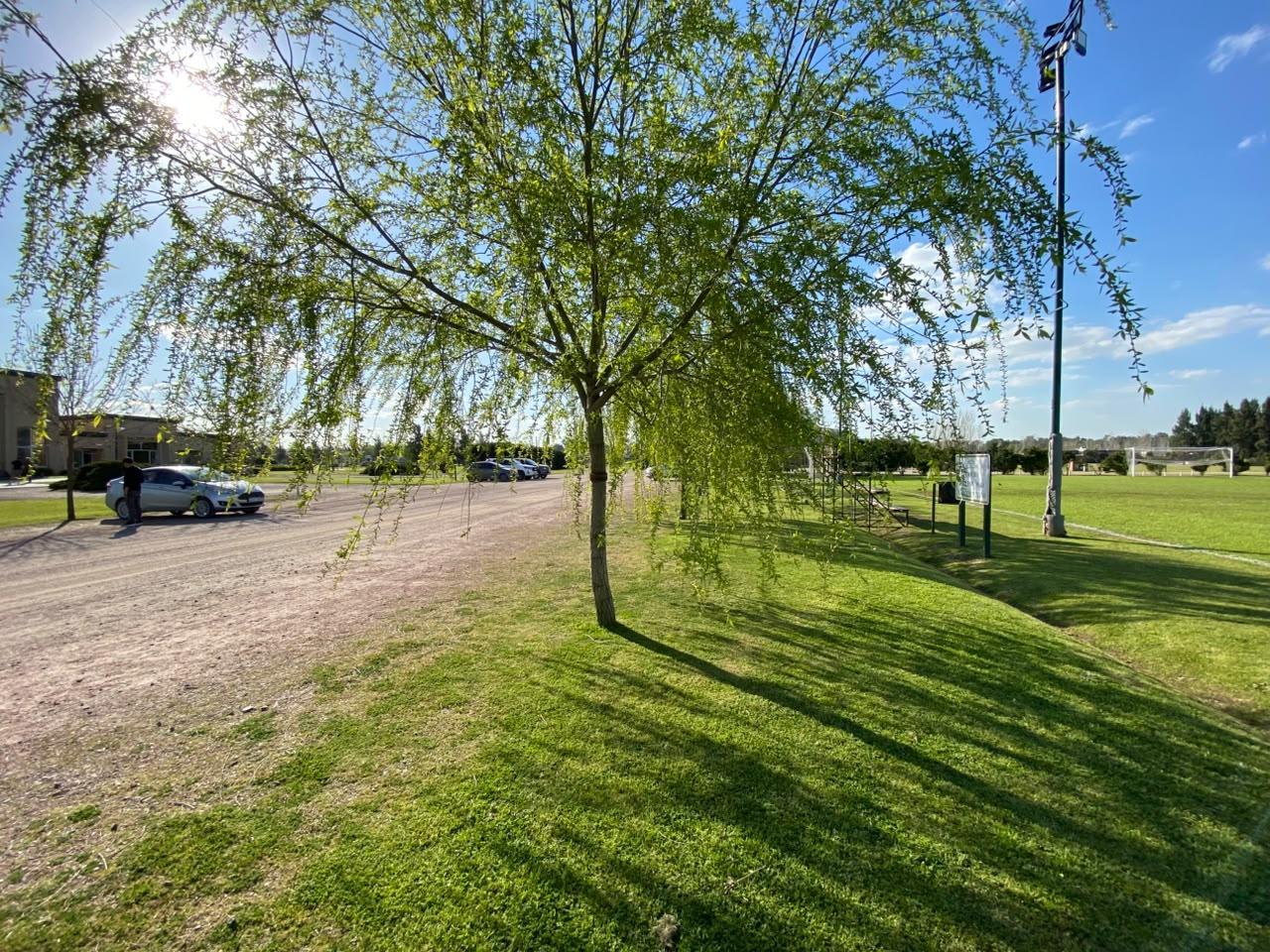 image 83