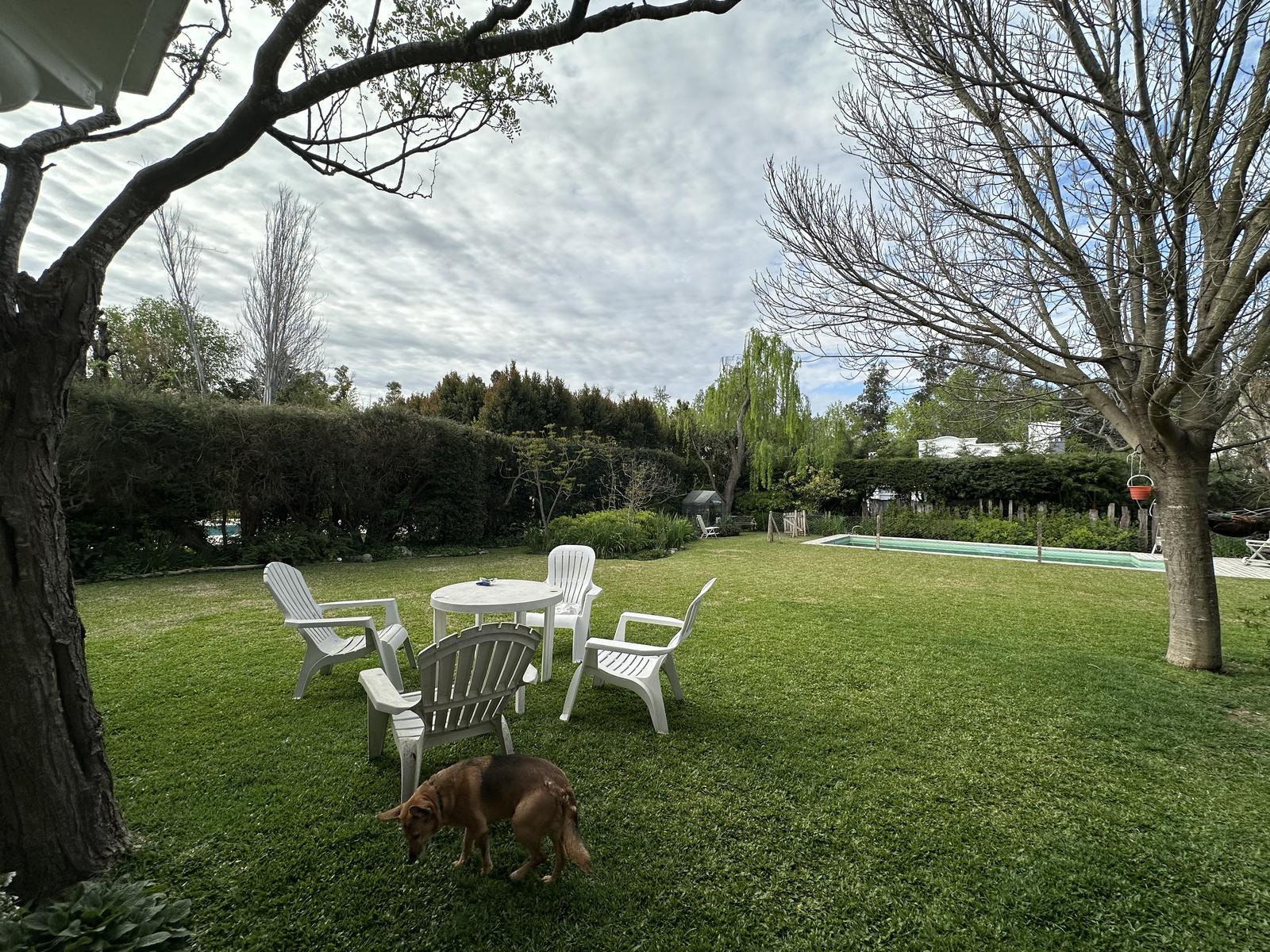 image 28