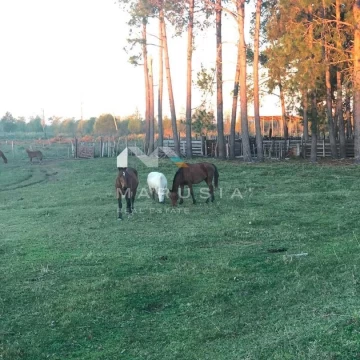 Terreno Campo  en Venta en Islas Del Ibicuy, Entre Ríos, Argentina
