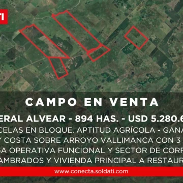 Venta en bloque de 6 parcelas, Campo agrícola - ganadero de 894 has en Gral. Alvear