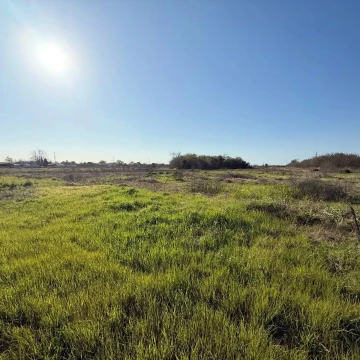 VENTA-ALQUILER HECTAREAS AL LADO DEL CLUB CICLISTA!
