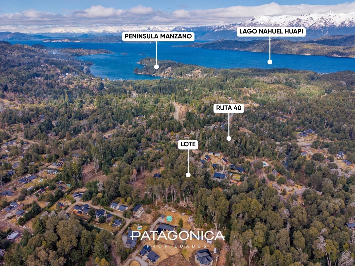 image 17