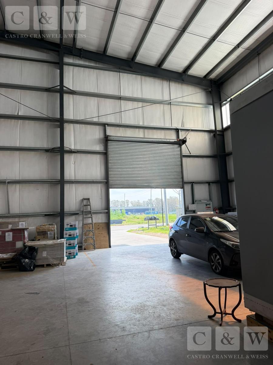 image 6