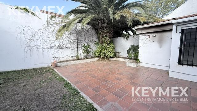 Patio/jardin