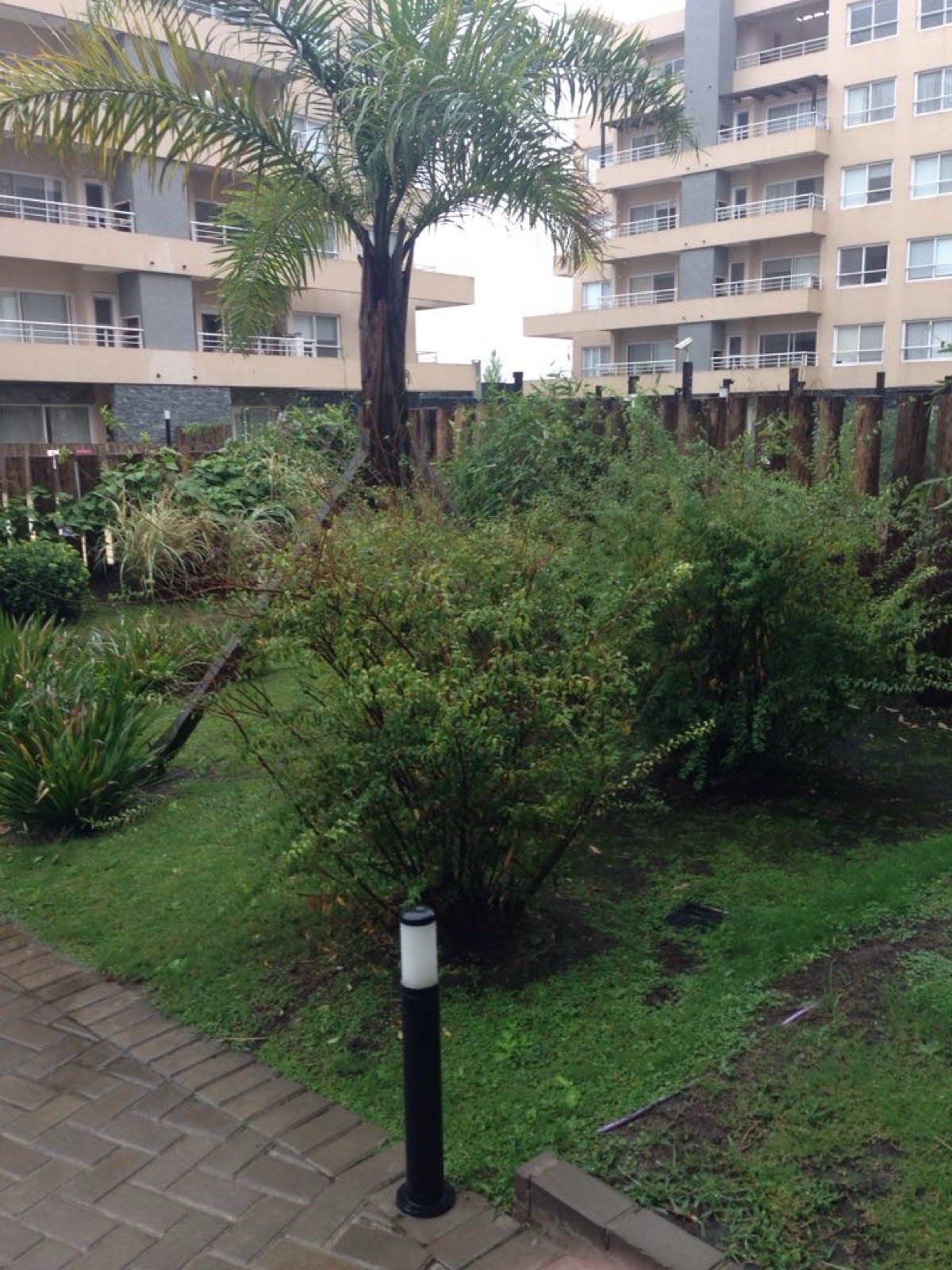 image 29