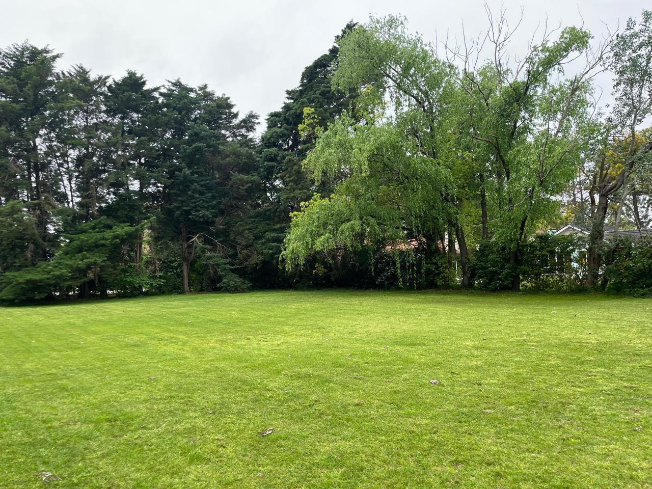 image 40
