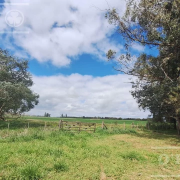 CAMPO de 34 HAS CON GRAN POTENCIAL DE DESARROLLO SOBRE RUTA 41 – GENERAL BELGRANO