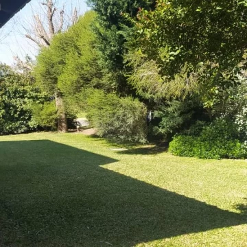 1790785484.jpg