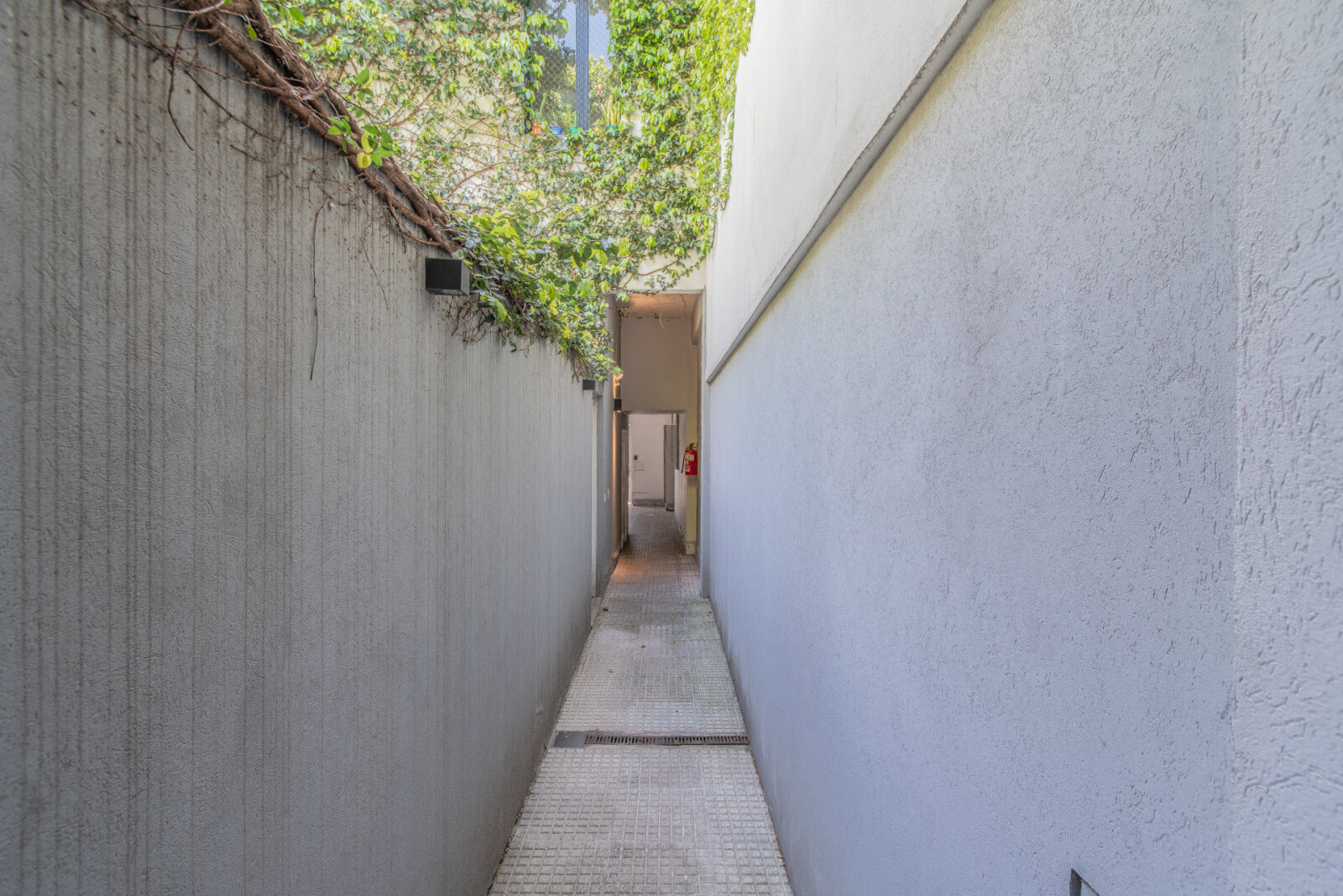 image 45