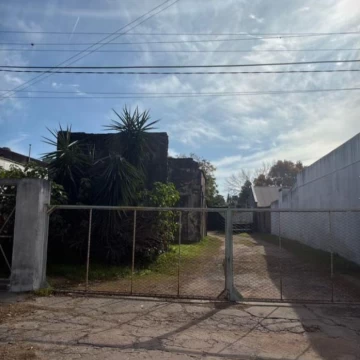 1790795344.jpg