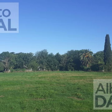 Terreno - Villa Elisa