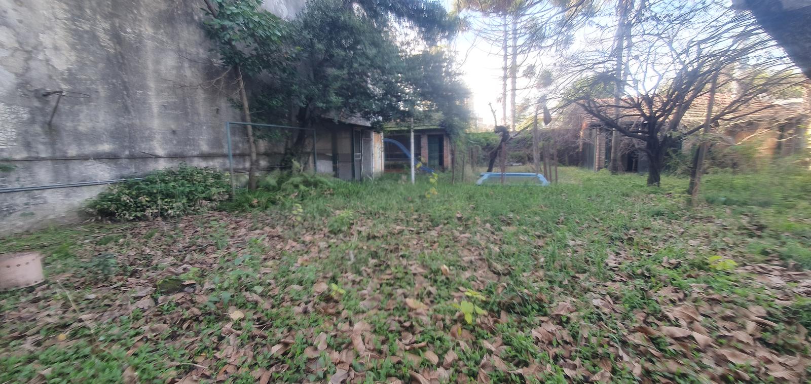 image 14