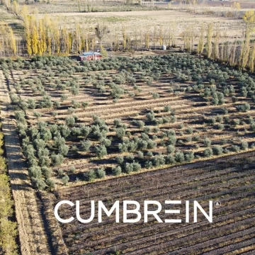 Finca de 18 hectáreas en Las Paredes - San Rafael