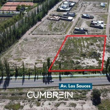 5.000 m2 Av. Los Sauces, a mts de Av. Dean Funes - San Rafael