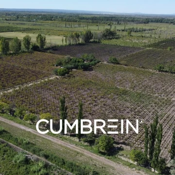 Finca Las Arabias – 11 hectáreas de viñedos en Los Claveles, San Rafael