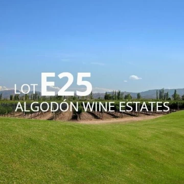 Lote E-25 en Algodon Wine Estates | 4730.26 m² | Golf