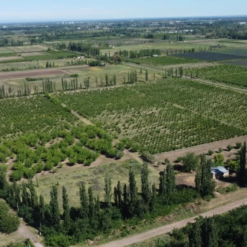 Finca productiva de 12 hectáreas – Prolongación Ruta 165