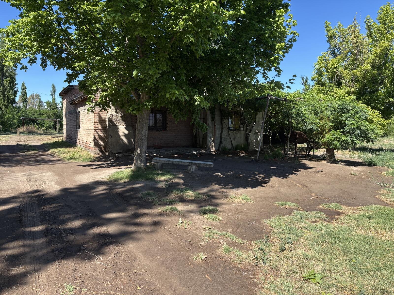 image 14