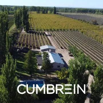 Finca de 8 Ha. de ciruelos y casa en Cuadro Benegas