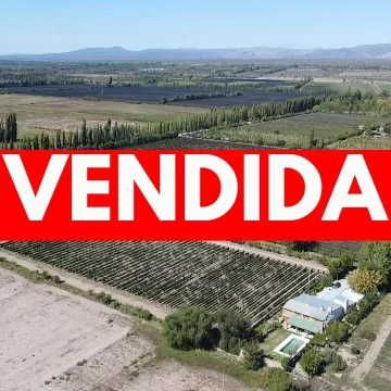 Finca de 10 Ha. con hermosa casa y galpón en Cuadro Benegas