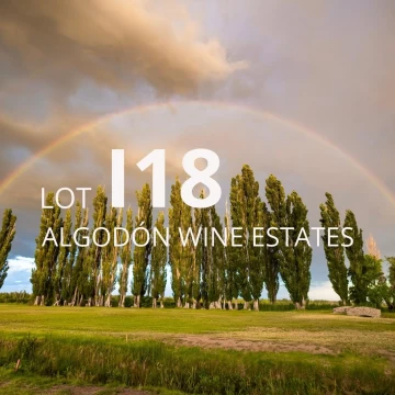 Lote I-18 en Algodon Wine Estates | 4002 m² | Golf