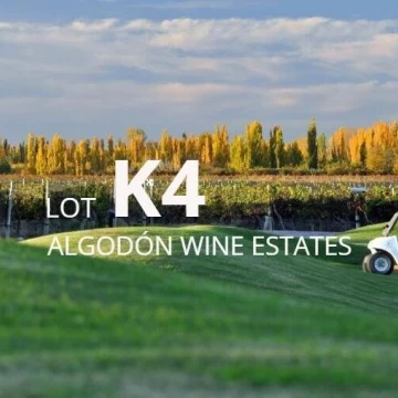 Lote K-4 en Algodon Wine Estates | 5495 m² | Golf