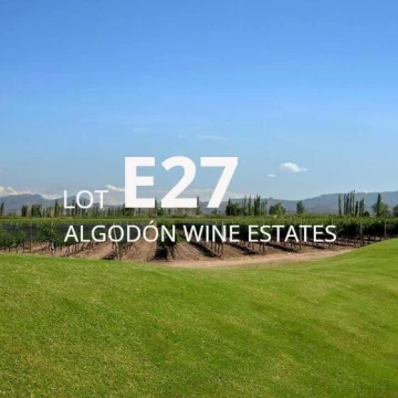 Lote E-27 en Algodon Wine Estates | 3921 m² | Golf