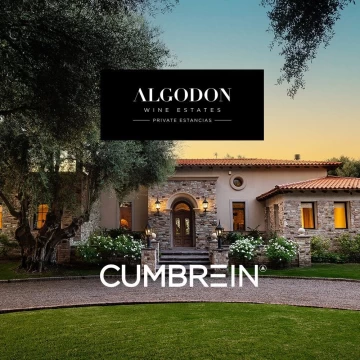 Algodón Wine Estates
