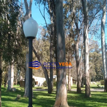 1790861089.jpg