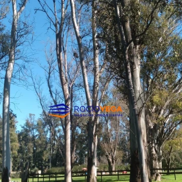 1790861113.jpg
