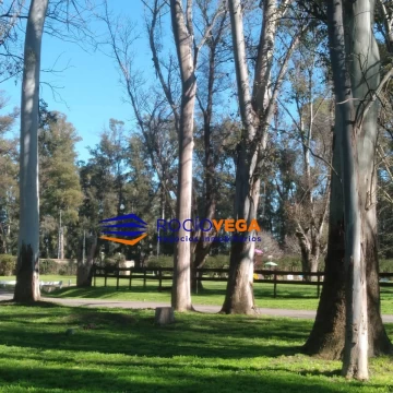 1790861113.jpg