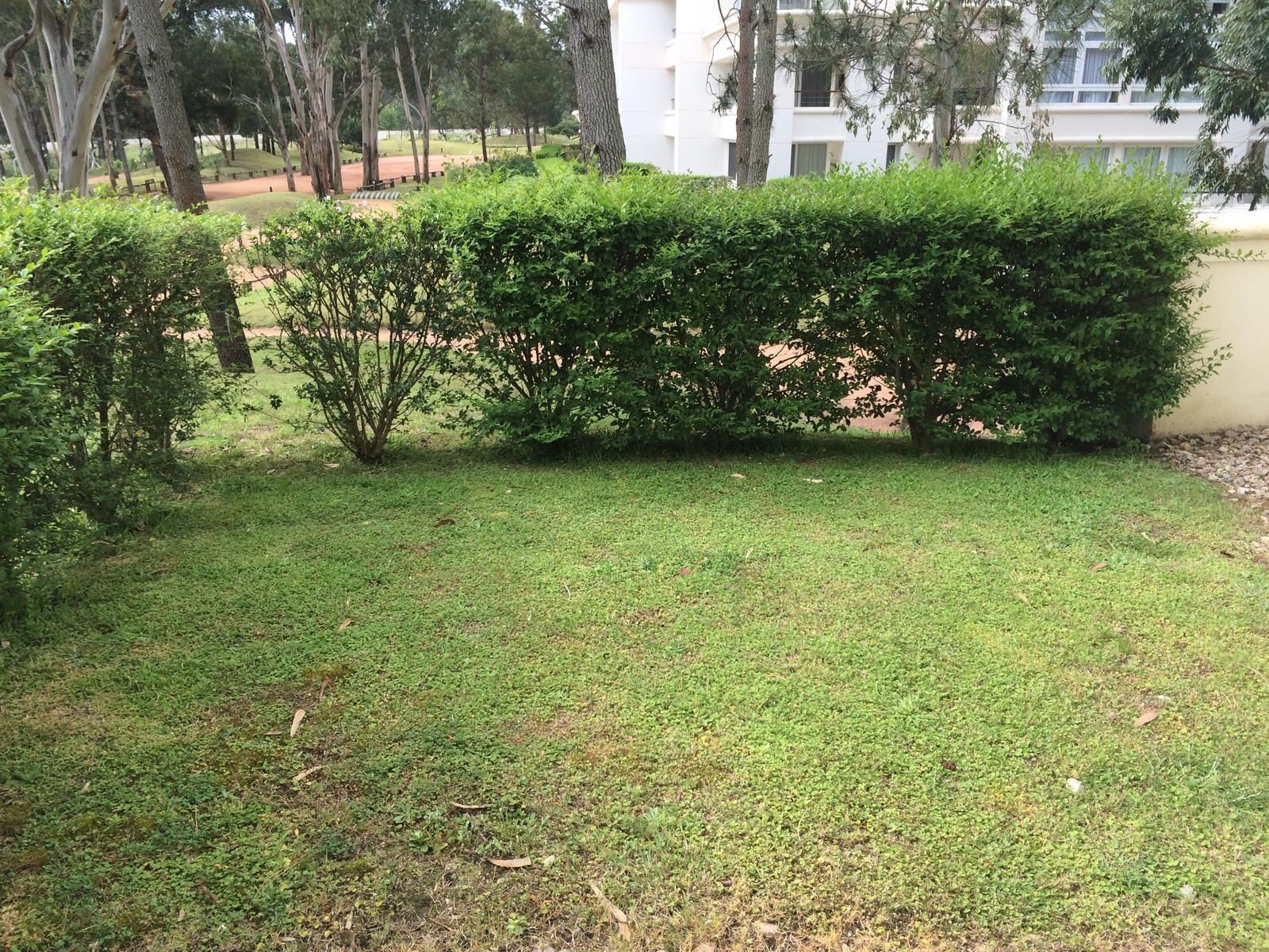image 34