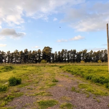 Terreno en Abasto