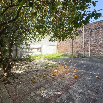 1790871141.jpg