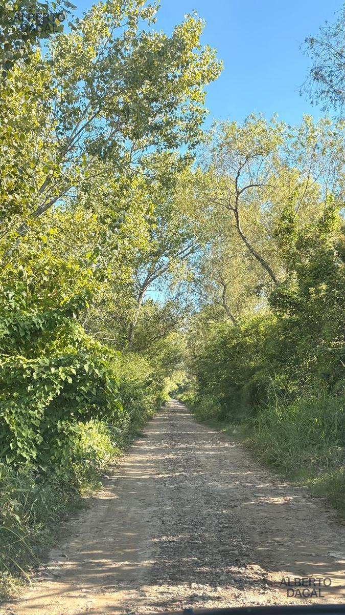 image 62