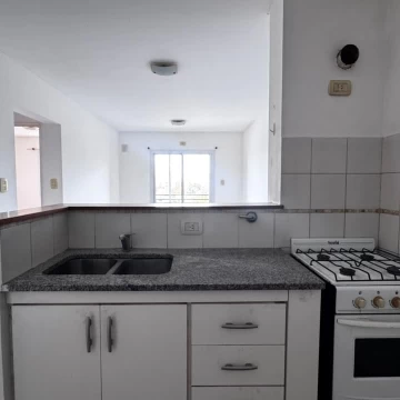1790886256.jpg