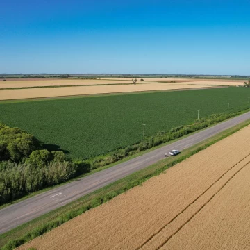 Campo Agricola en Venta en Alvarez