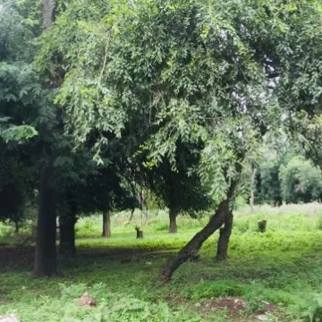 UNQUILLO, ESPECTACULAR TERRENO! 1120M2